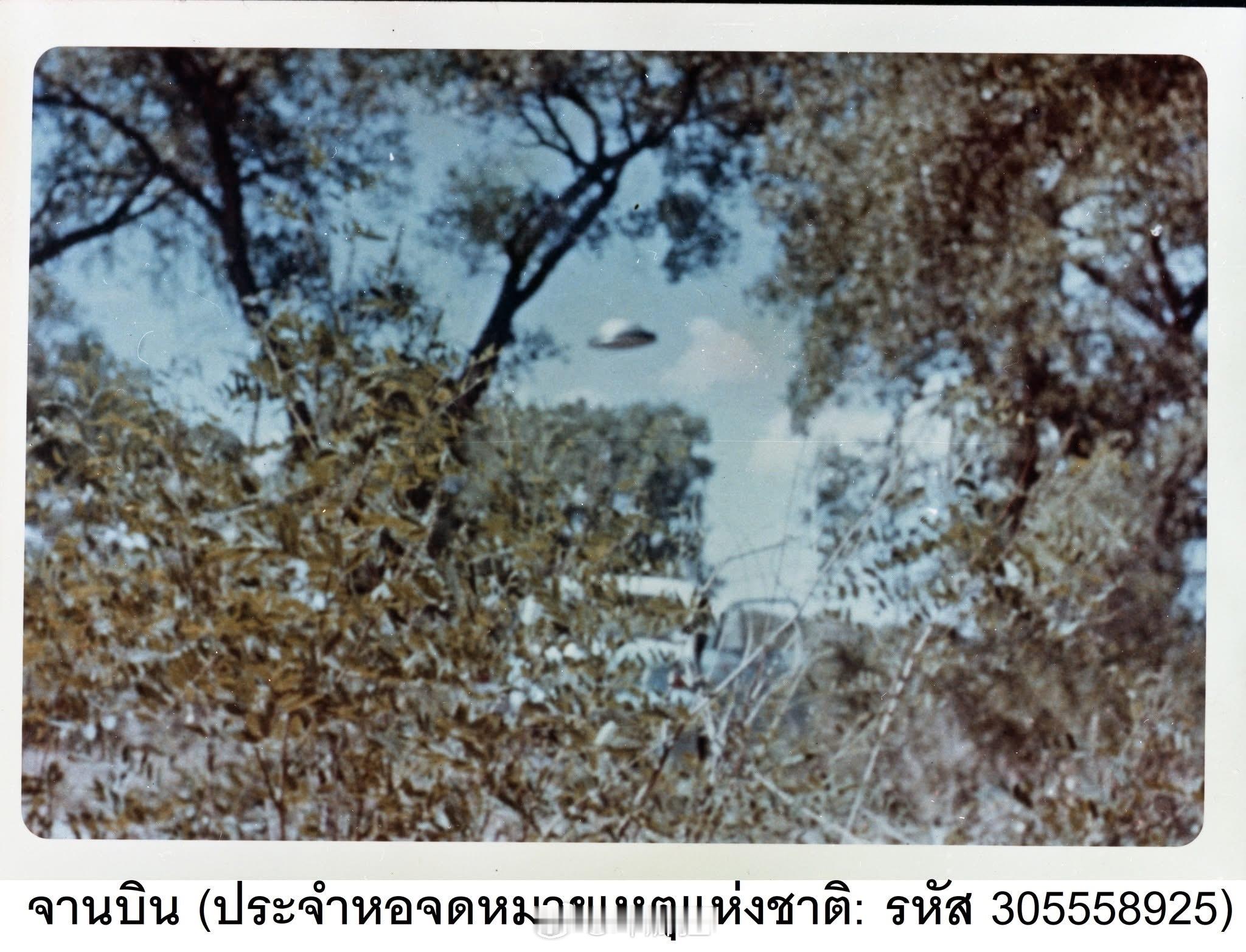 1965年这组“最著名UFO照片”，到底是神迹，还是上世纪最大的摄影骗局？🛸