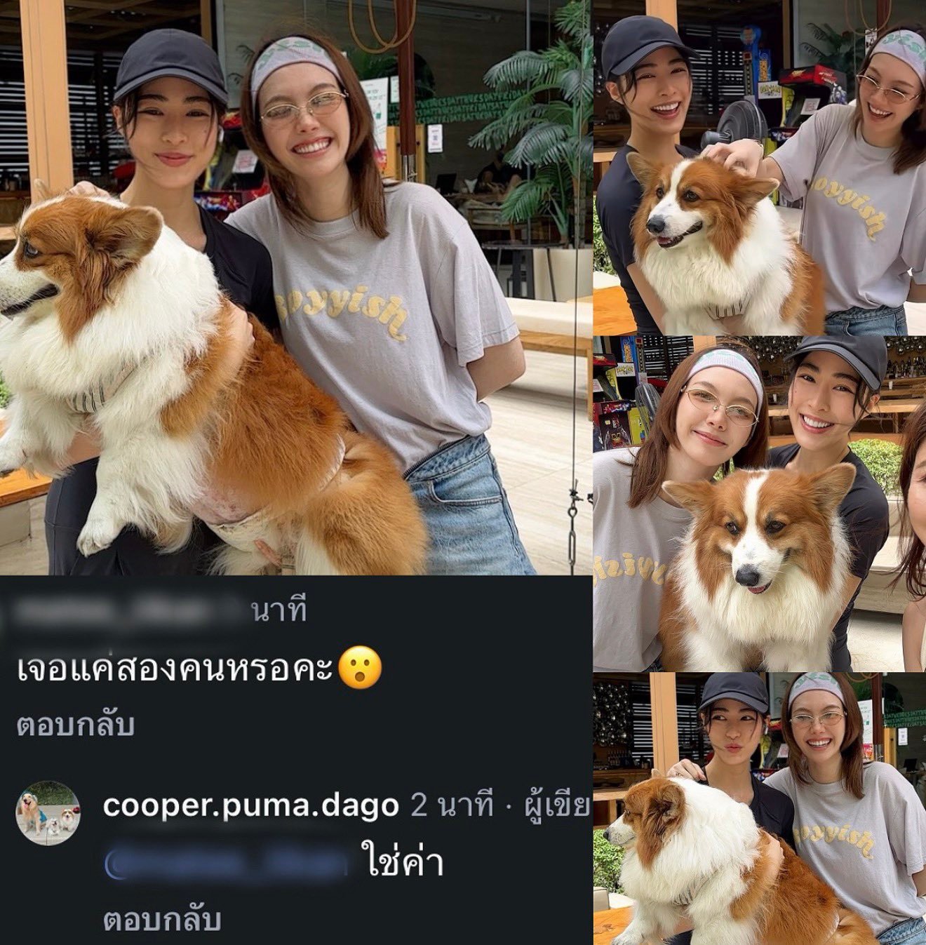 大肥狗的主人说只有这俩人