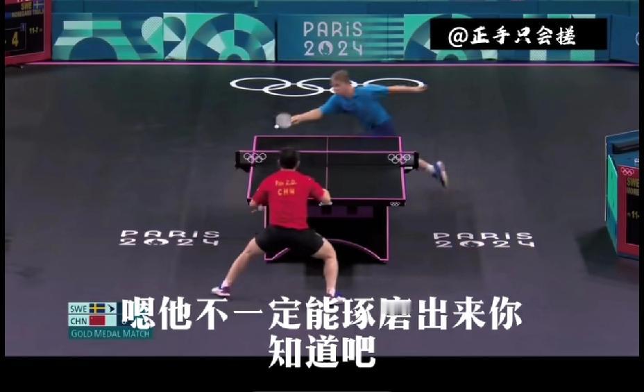 杨毅这个料挺有意思的：“巴黎奥运会，樊振东除了他自己、家人、团队、他的赞助商安