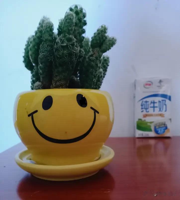 凡事少一分执念，心头便少一分烦扰。不必纠结得失，不必计较是非，遇事放宽心，脸上常