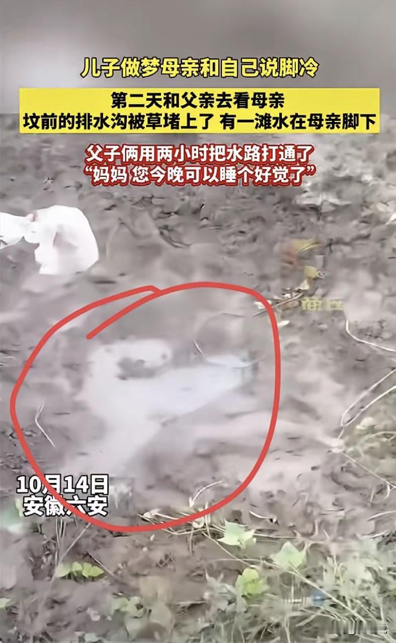 “这下真的解释不清了！”安徽六安。儿子夜里做了个梦，梦里妈妈对他说了句：脚冷。就