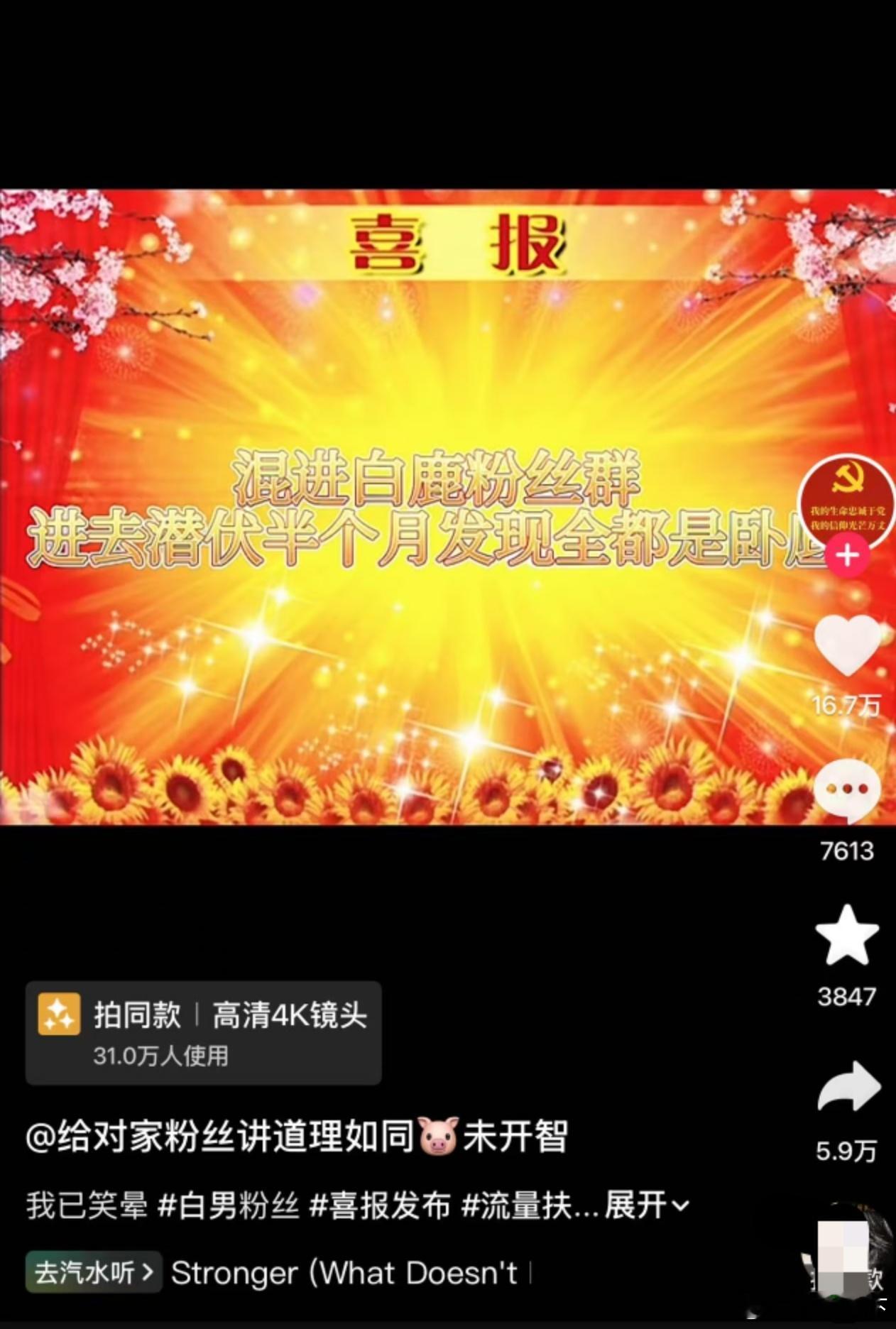 抖人对嘲白鹿这件事居然这么长情