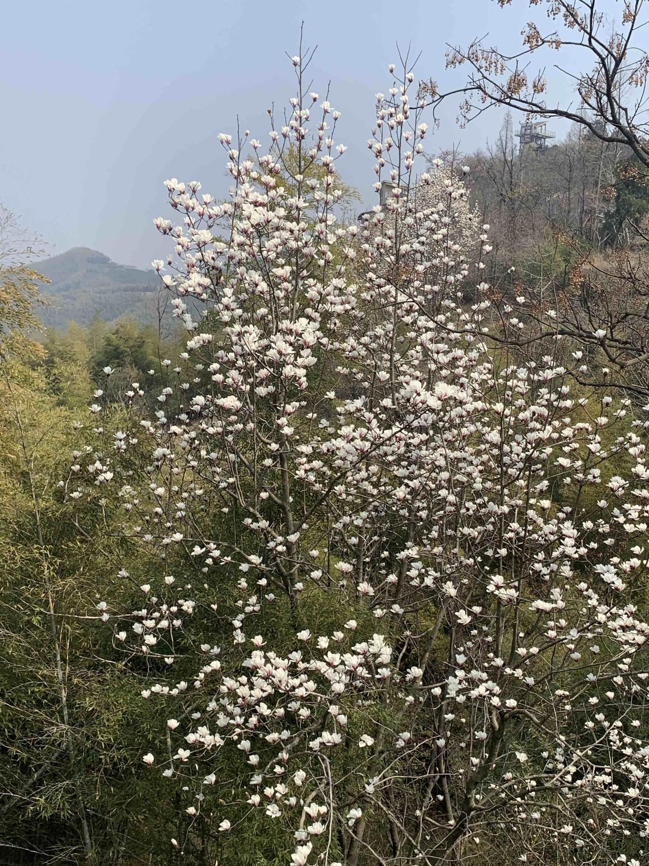 家人相处有不少要注意的点。钝感力很重要，别老翻旧账，没必要事事争对错，像家务分配
