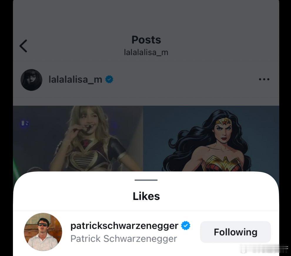 PatrickSchwarzenegger点赞了Lisa最新的IG帖子📱​