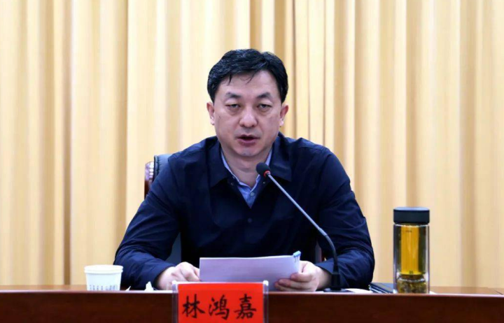 涉嫌严重违纪违法, 林鸿嘉被查