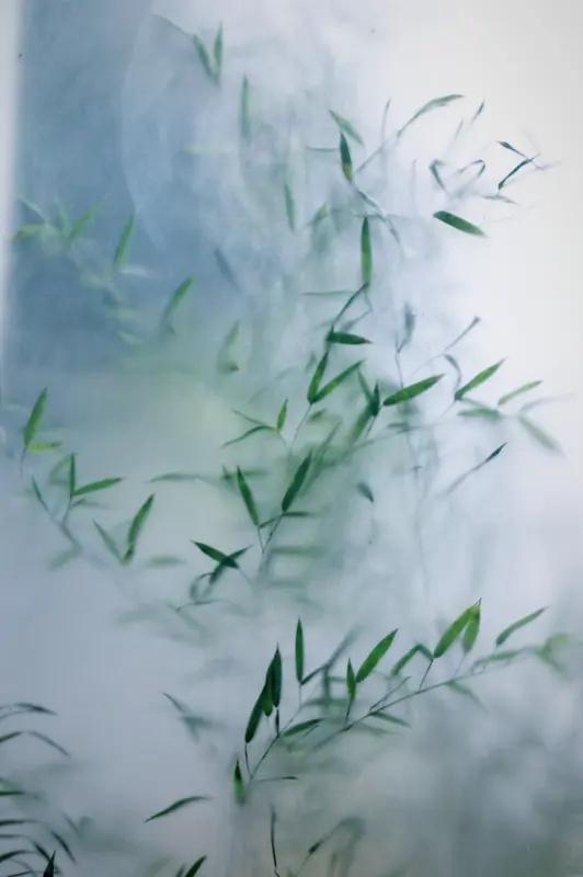 上联:几缕清风花弄影，邀君赐下联一池碧水月摇光。