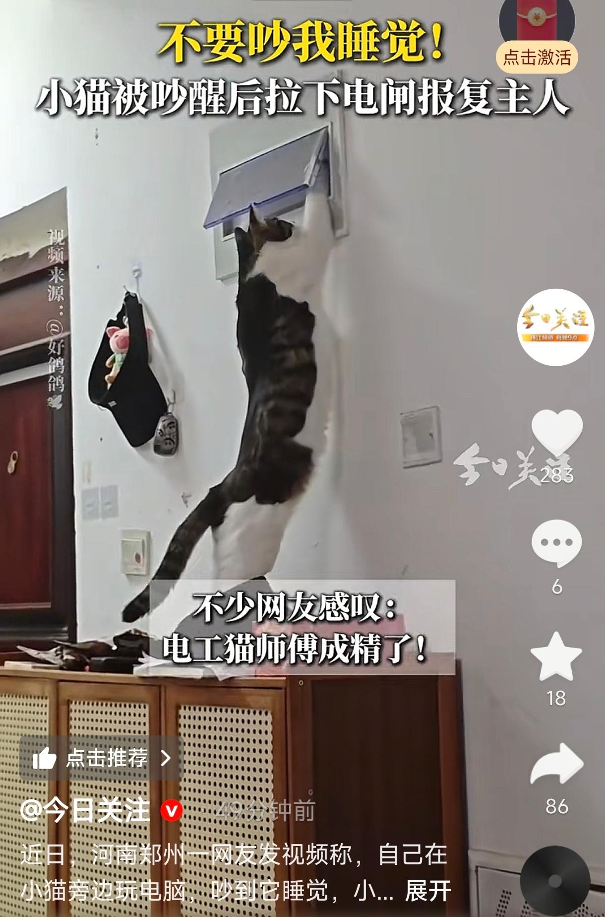 笑不活了！河南郑州，一男子在家打游戏，声音太大吵到了正在睡觉的猫。结果这小家伙不