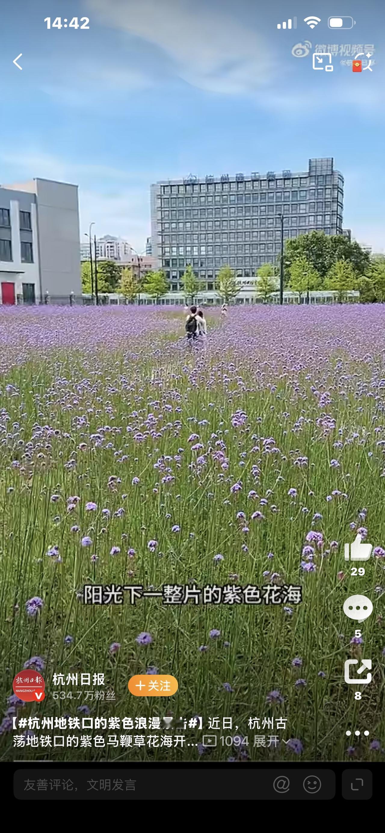 杭州地铁口的紫色浪漫暴击！一出站就沦陷，免费美成壁纸谁懂啊！杭州地铁口藏不住