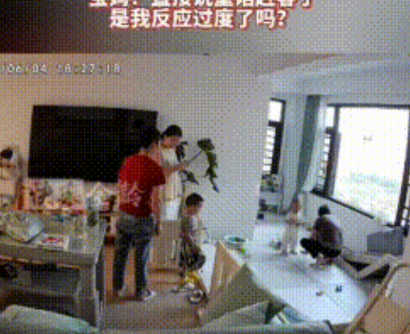 邻居带着三岁的孙子到家里找婆婆玩，孙子想进入围栏里玩，儿媳妇说不能进，你会弄脏里