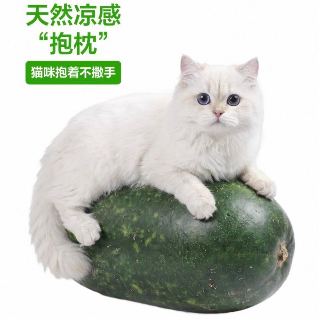 我笑死，盒马因为太多辆受害咪出现连夜改了冬瓜宣传图……