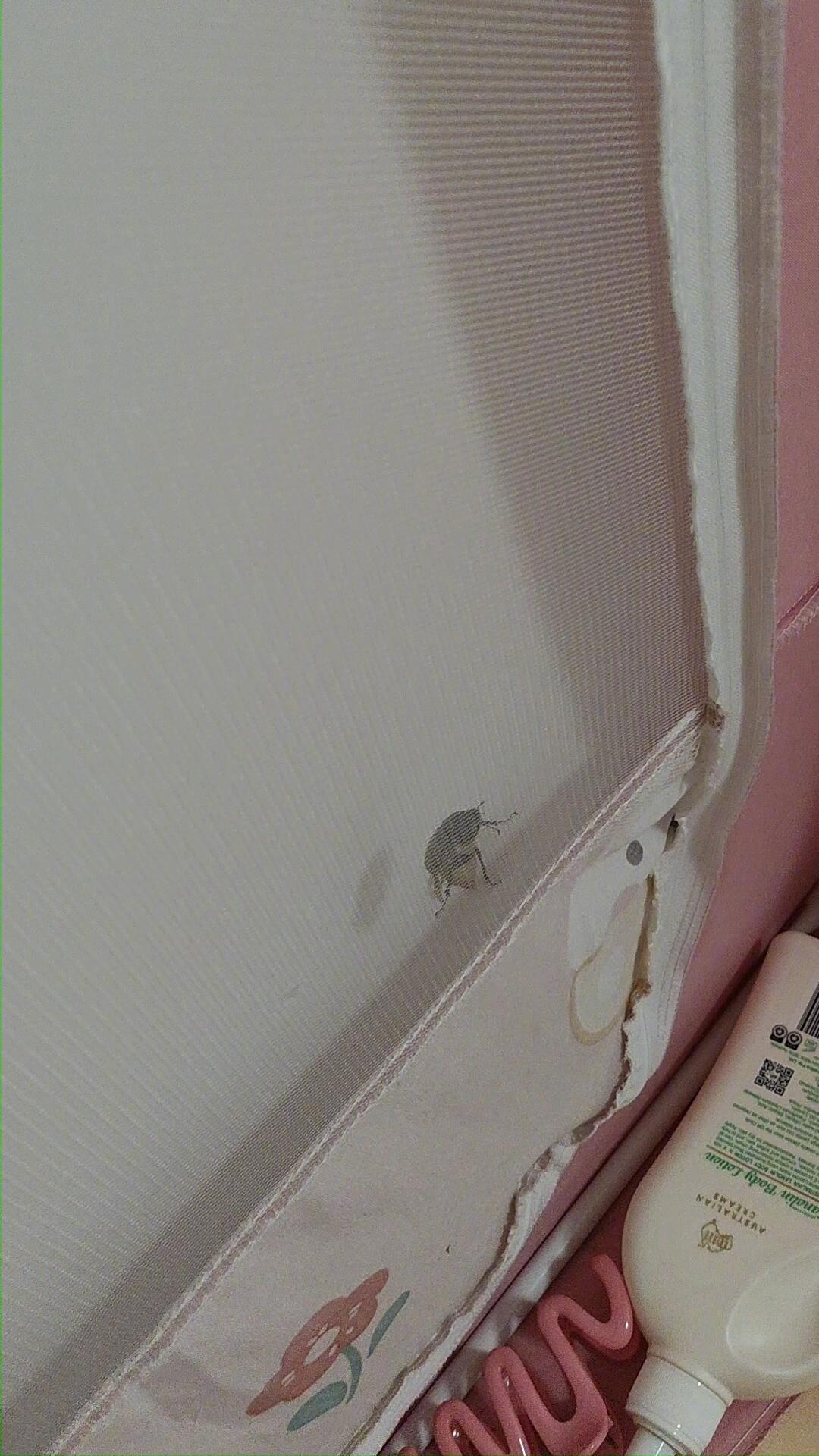 论蚊帐在广东的重要性