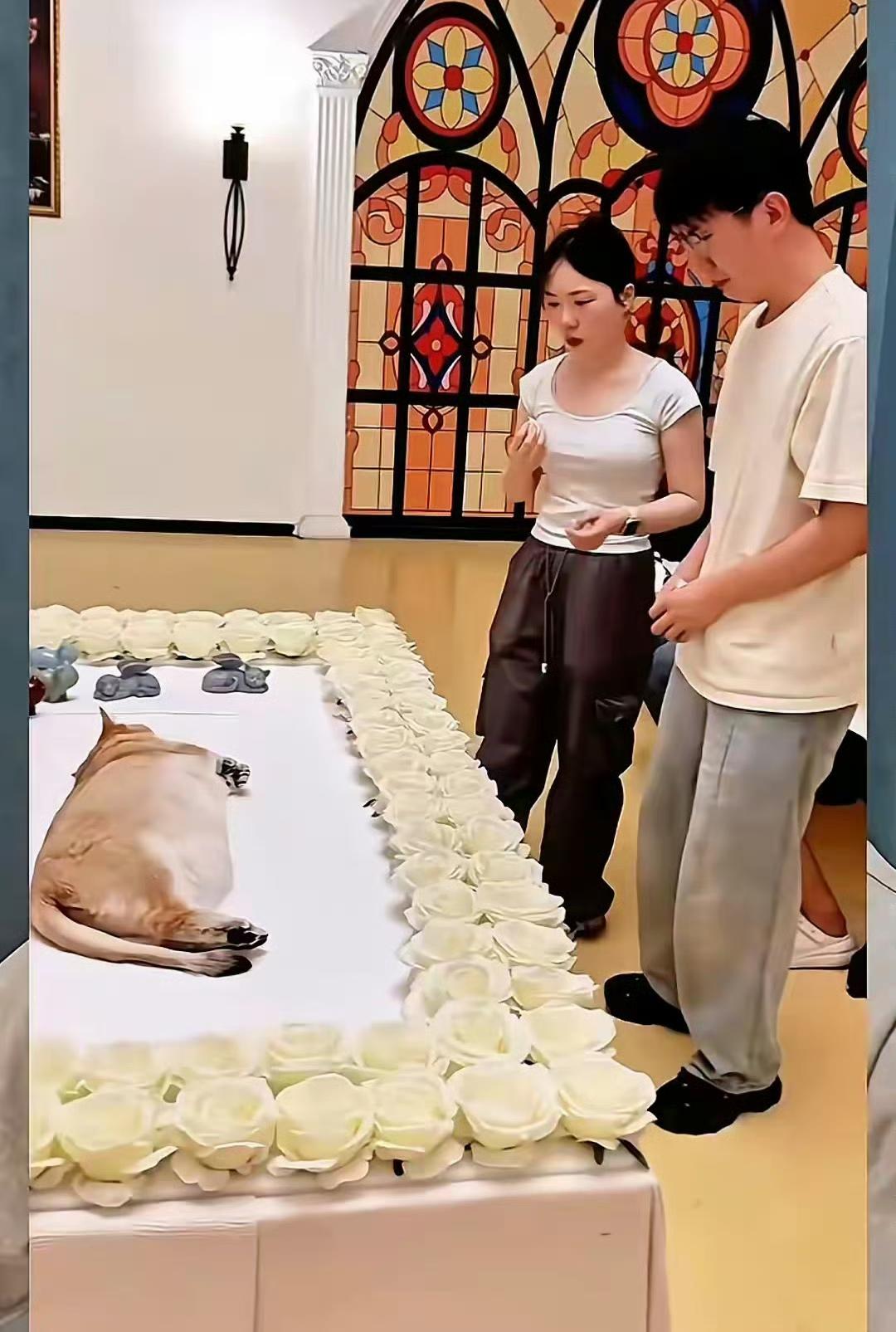 果然是有钱人！花15w给宠物狗办葬礼，到场的亲戚朋友"满脸悲伤"。我不理解这种