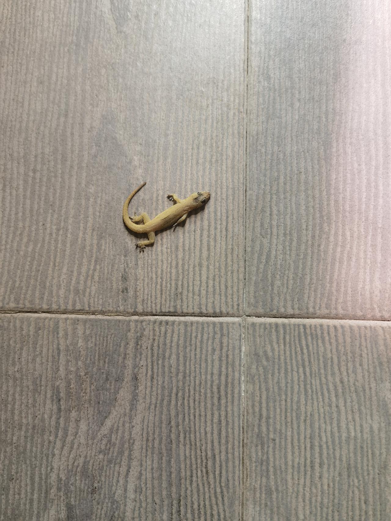 上午银行客户经理打电话给我，说我名下的经营贷快到期了，问我续不续。我当然说续