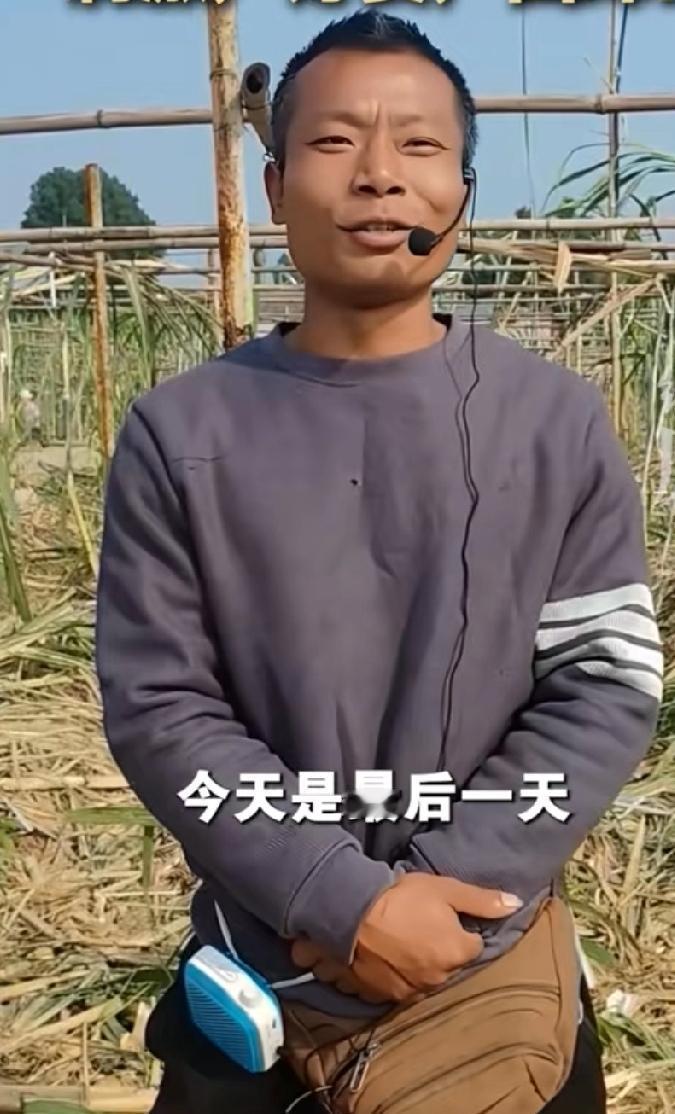 甘蔗被偷完了，甘蔗老板终于松了一口气，可算可以开开心心的下班了。9.9体验偷