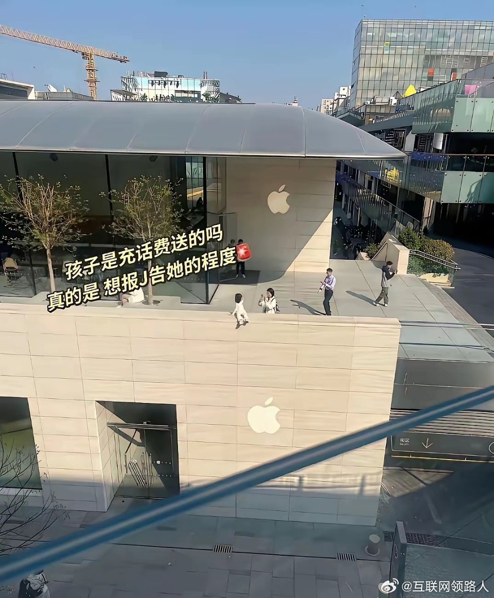 世间总有些愚不可及的举动，是常人的认知难以触及的。