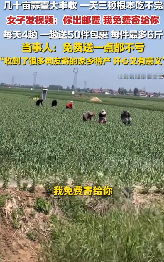 4月30日报道，河南商丘。几十亩蒜薹大丰收，一天三顿根本吃不完，女子发视频称你出