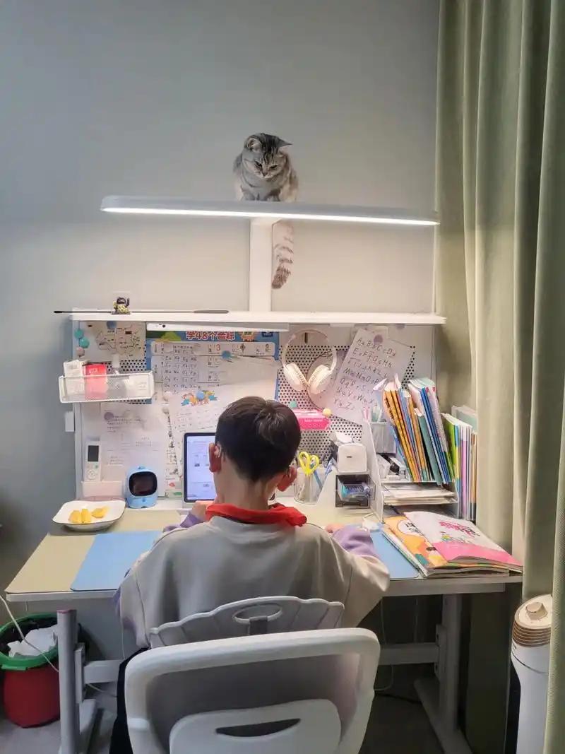 别再被“只要努力就能考清华北大”的毒鸡汤骗了，教书二十年的老班主任私底下都说实话