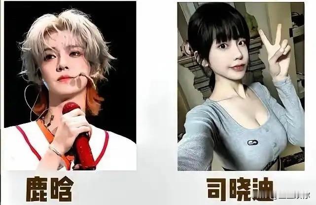 司晓迪看似矛头直指鹿晗，实则没放出实质锤料，鹿晗或许只是抛出来的幌子，真正要施压