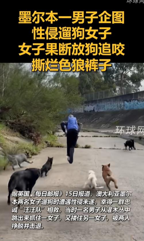 “万万没想到！”7月15日报道，澳大利亚墨尔本，两名女子在遛狗的时候遇到了色狼，