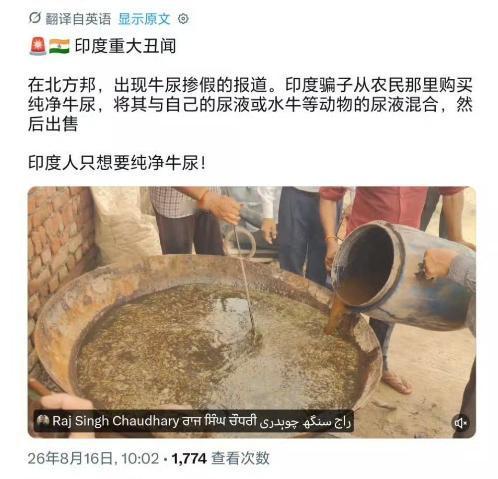 印度人牛尿也造假？在印度北方邦，印度骗子从农民那里购买纯净的牛尿，然后将其与自己