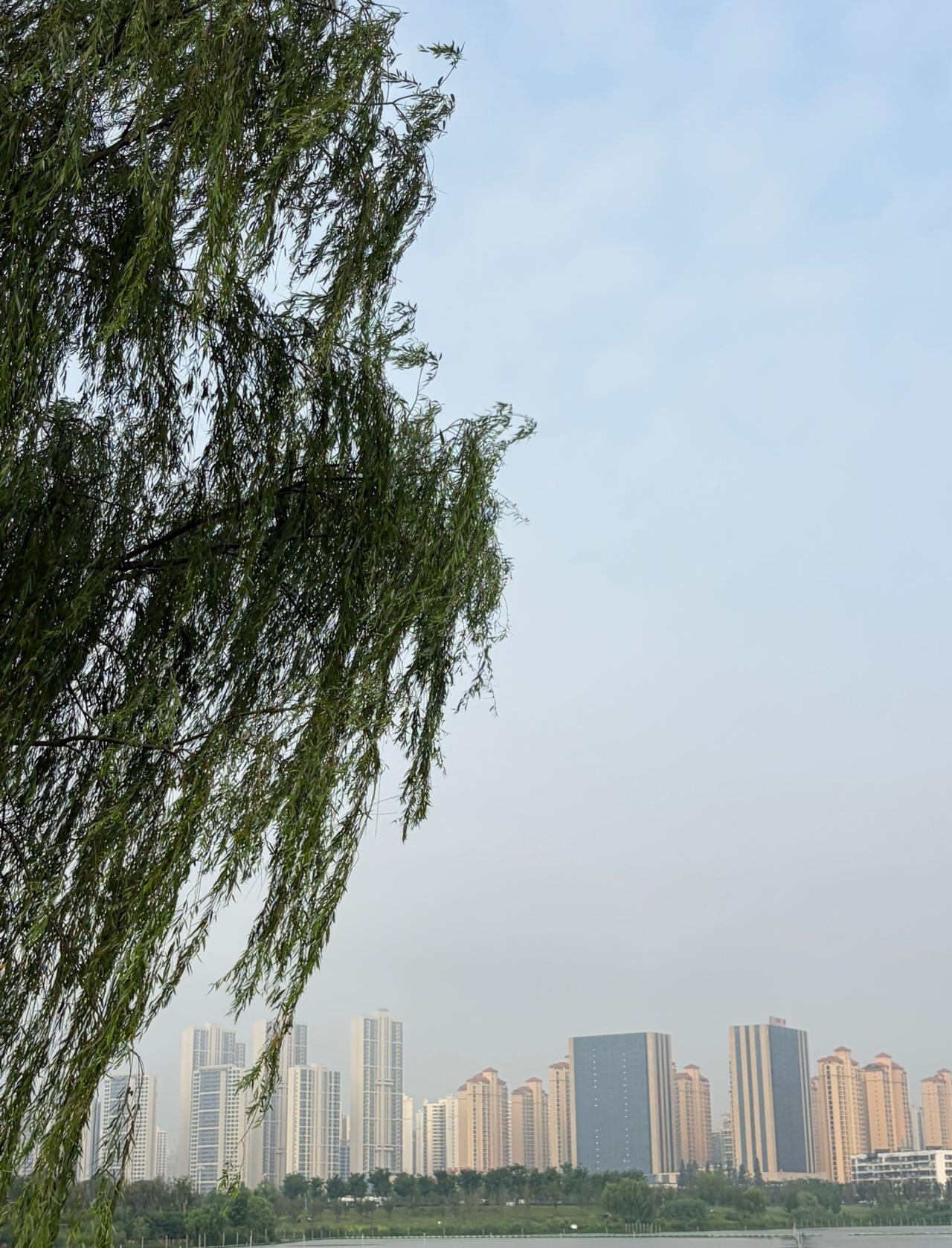 昨天晚上，同事马老师的一番话，我琢磨了好久。她离婚十几年，一直没再婚，女儿今