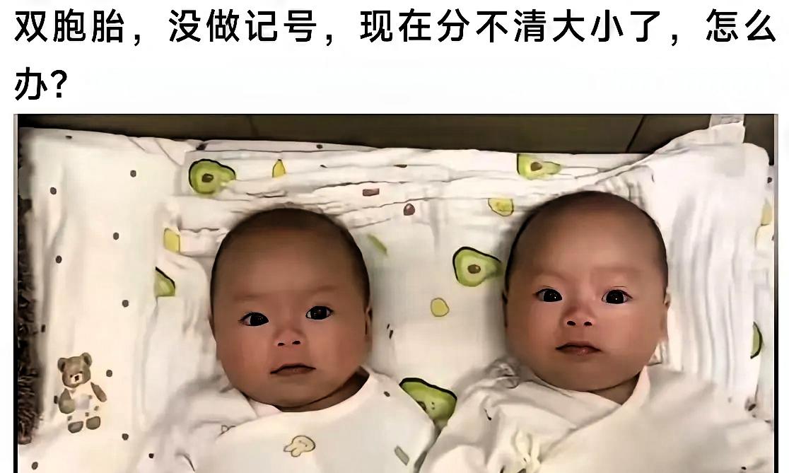 一位网友在线求助，生了一对双胞胎，忘记做记号，无法分清谁是老大，谁是老二。这件事