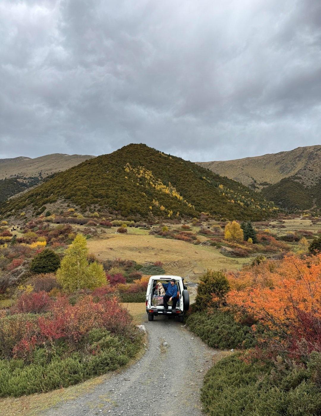 川西金秋太值得了🍂这次新都桥去了一条小山沟里、秋景全部水果直出！！！
