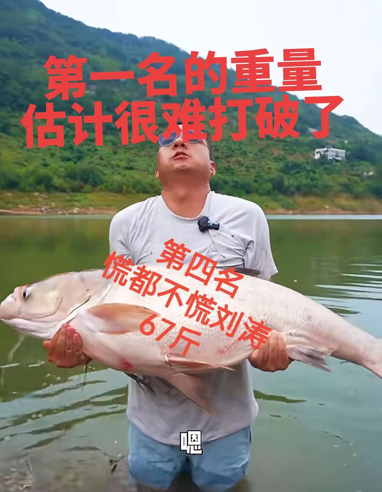 2025上半年鲢鳙重量排行榜前四名，钓友们没意见吧，看看下半年有没有哪位大师能刷