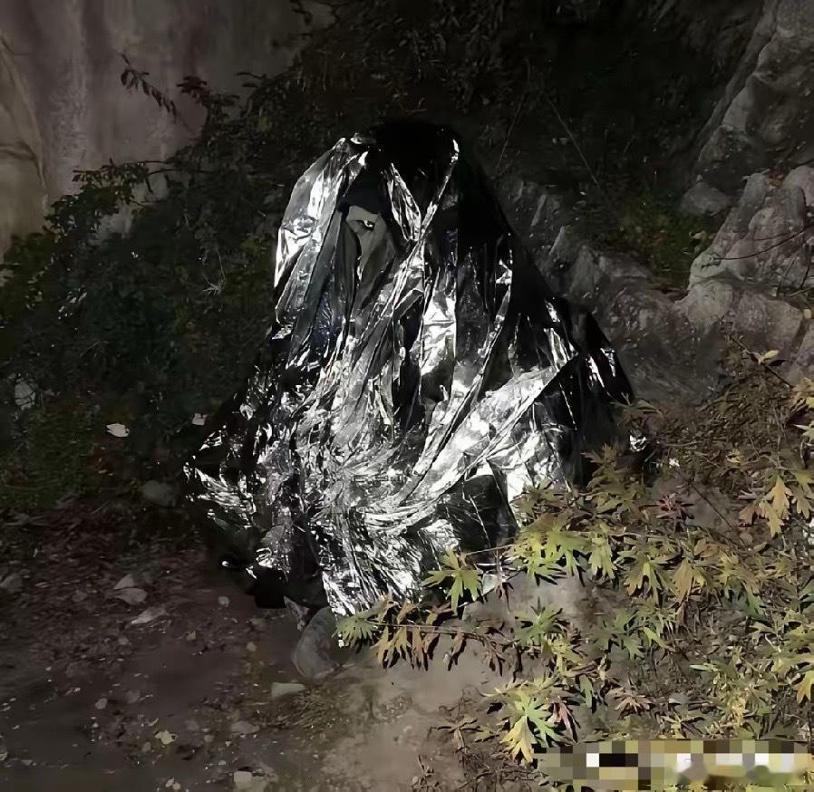 笑不活了！敢相信吗？这不是景点垃圾，这是人，这是五一假期泰山上的游客！他们太冷了