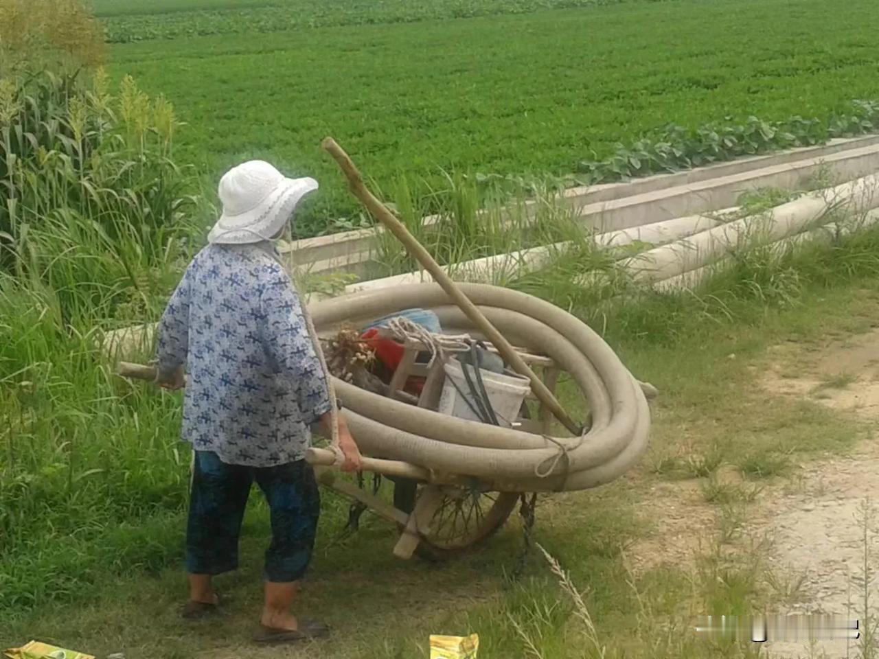 随手拍的一张风景