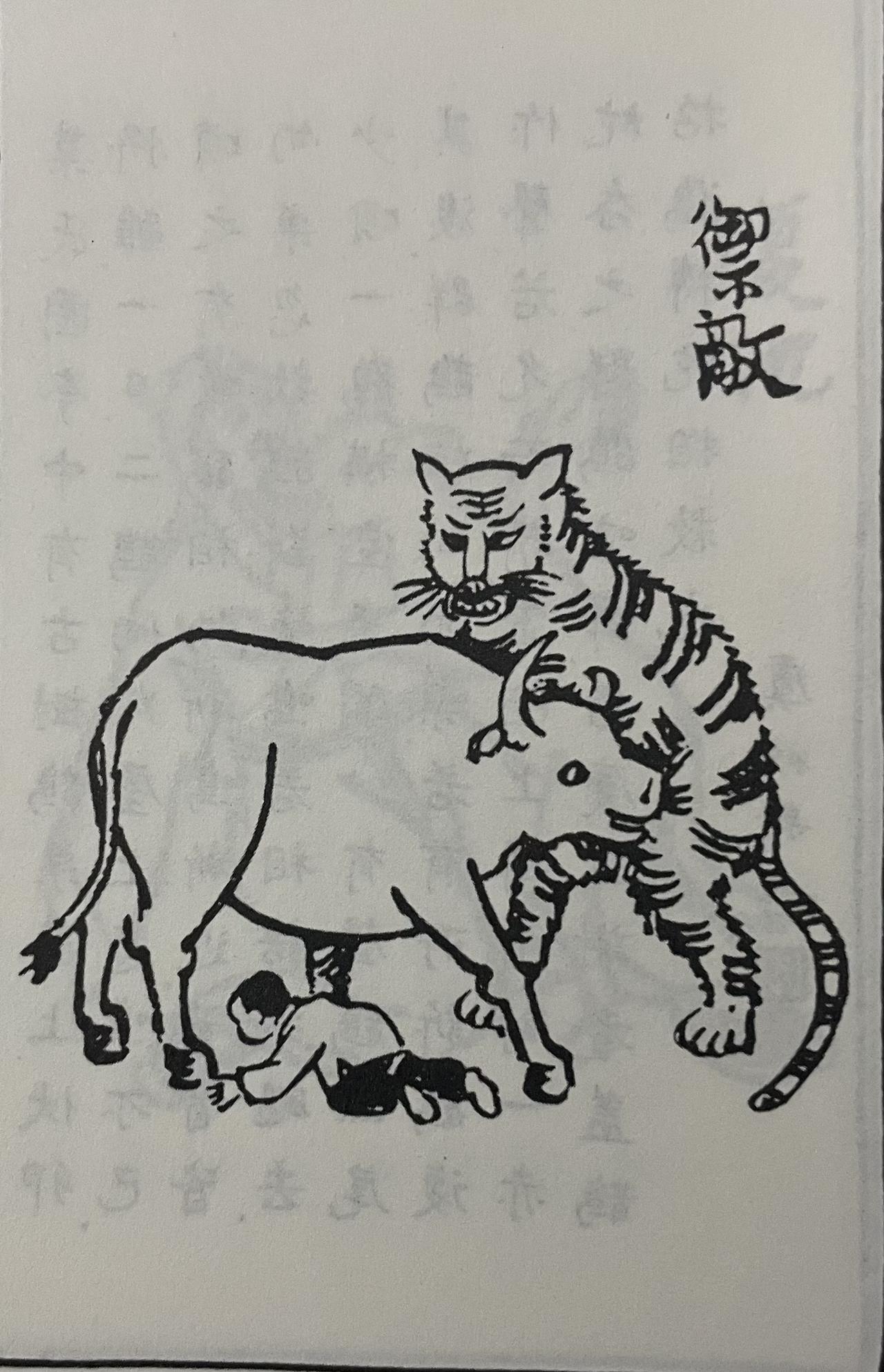 义牛救主，感人至深！为救小主人，它不惜与猛虎搏命古时候，有个盛氏小孩在放牛时
