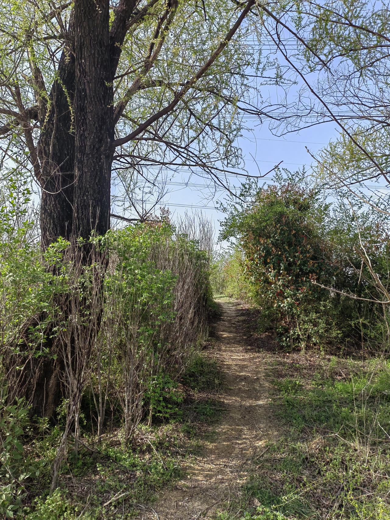 1979年时，某县石油公司算上领导只有5个人。那时候汽车极少，除了向“公家”单位