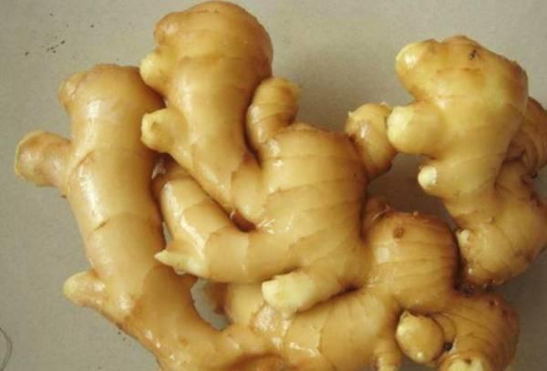生姜对人究竟有多少好处？看完便知。许多人家中常备生姜，却仅将其当作去腥做菜的“