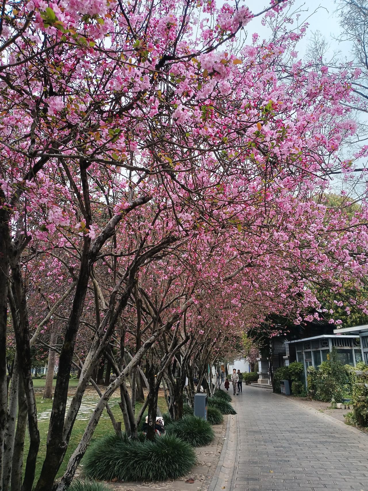 美伊战争爆发，对大A有何影响？周六下午，市场突然传出重磅消息，美伊战争开打。