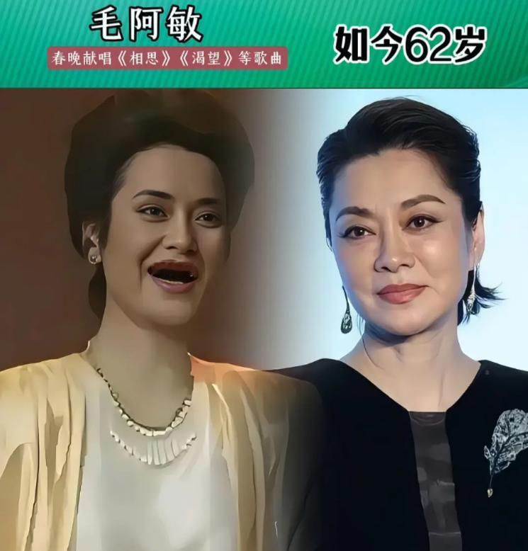 扒开春晚的滤镜才发现，董文华、毛阿敏这4位“顶流”，晚年的活法一个比一个“狠”。