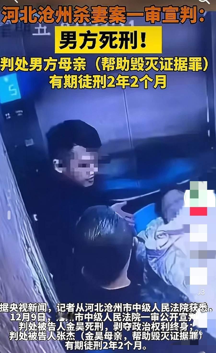 大快人心，孟村家暴男获死刑，其母亲2年2个月。可能家暴男金某怎么也没想到会是这