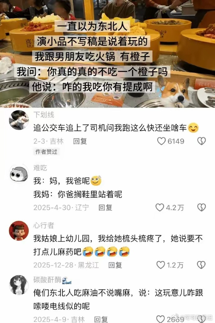 笑死东北人是不是天天熬夜在被窝里背梗啊!