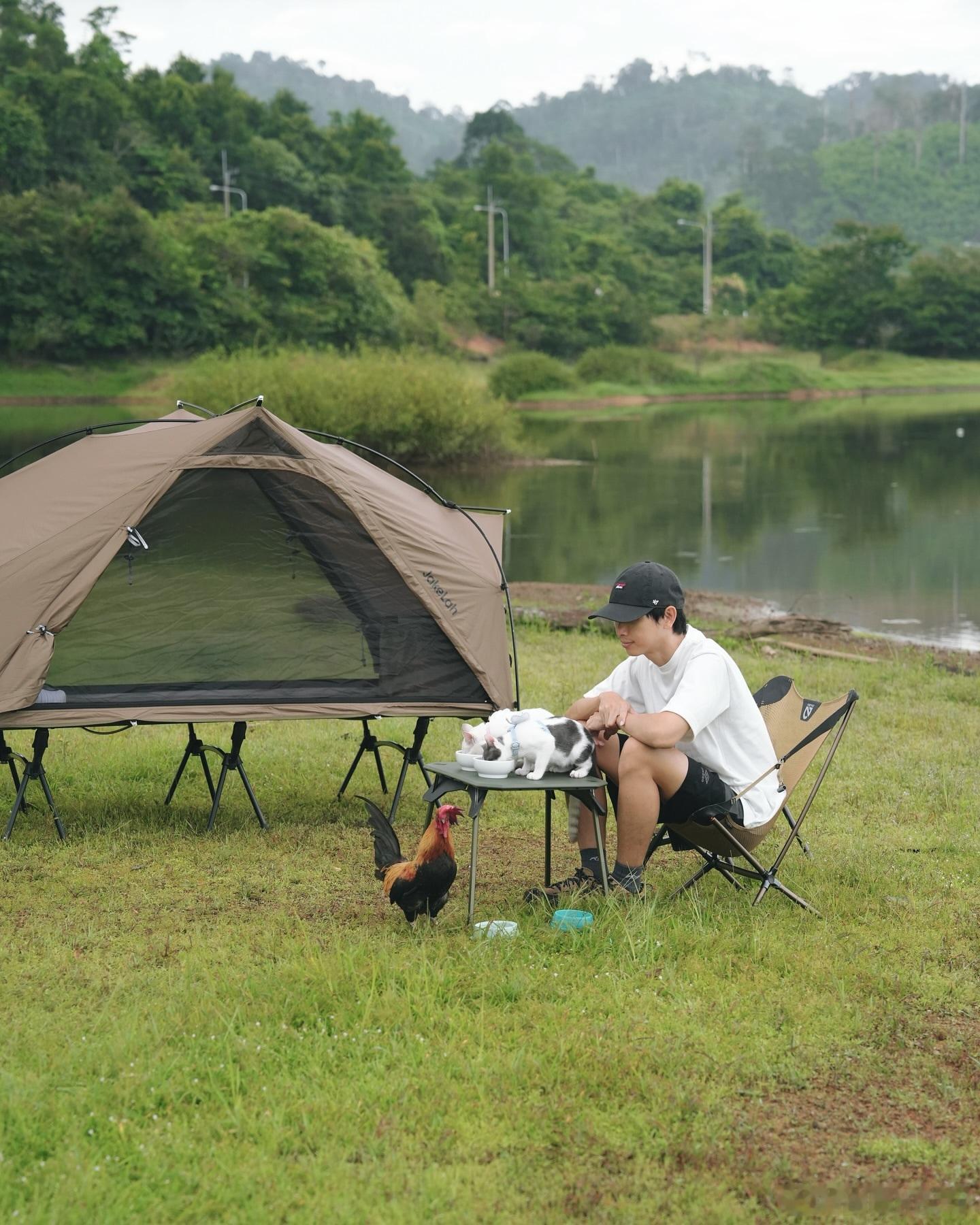 小猫咪们的周末河边露营🏕️cr：KanivaPeto​​​
