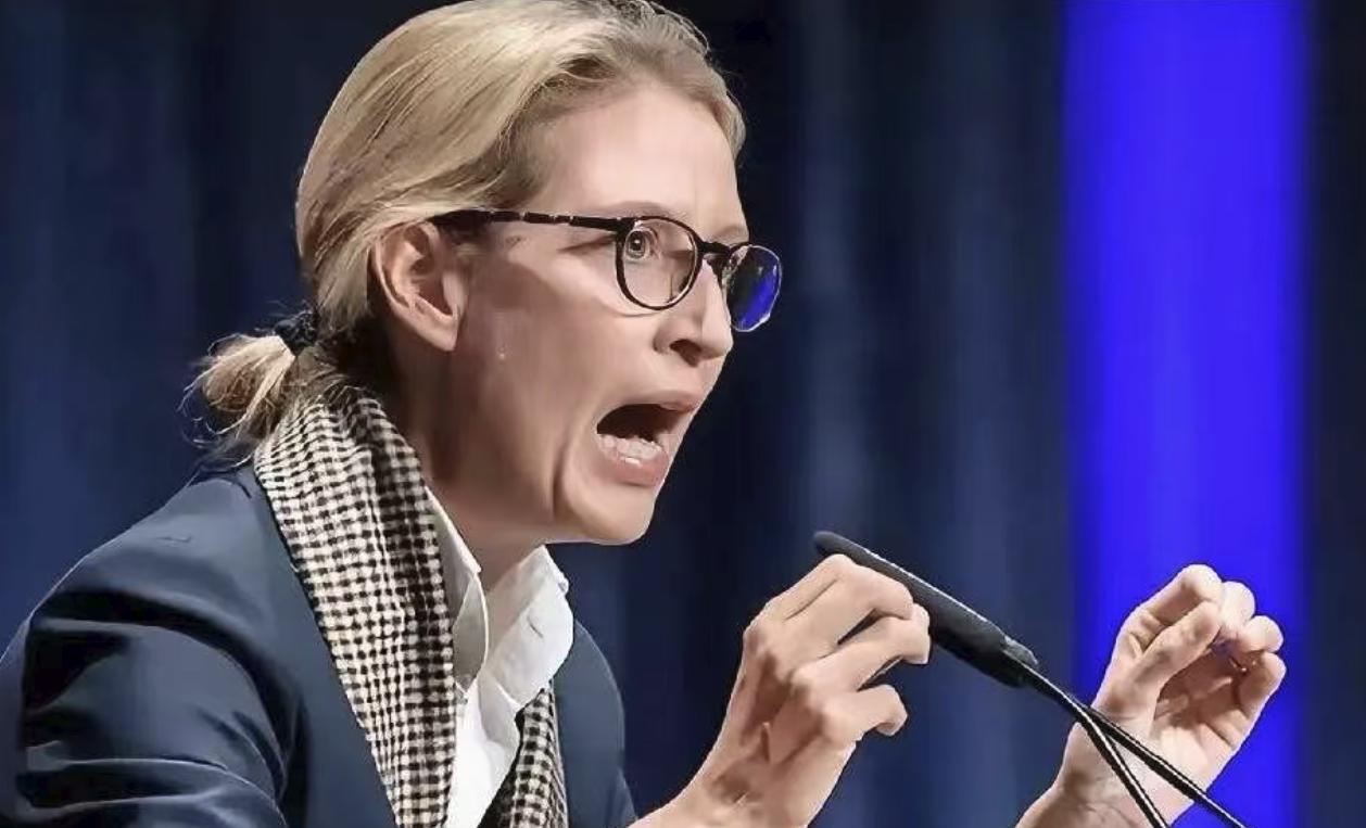 万万没想到，德国选择党魏德尔直接批评德国的“亲美路线”！ 说白了，在我看来，
