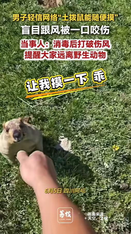 “不能什么话都信！”6月5日，四川阿坝，一男子在野外遇见了只土拨鼠，他想起来网上
