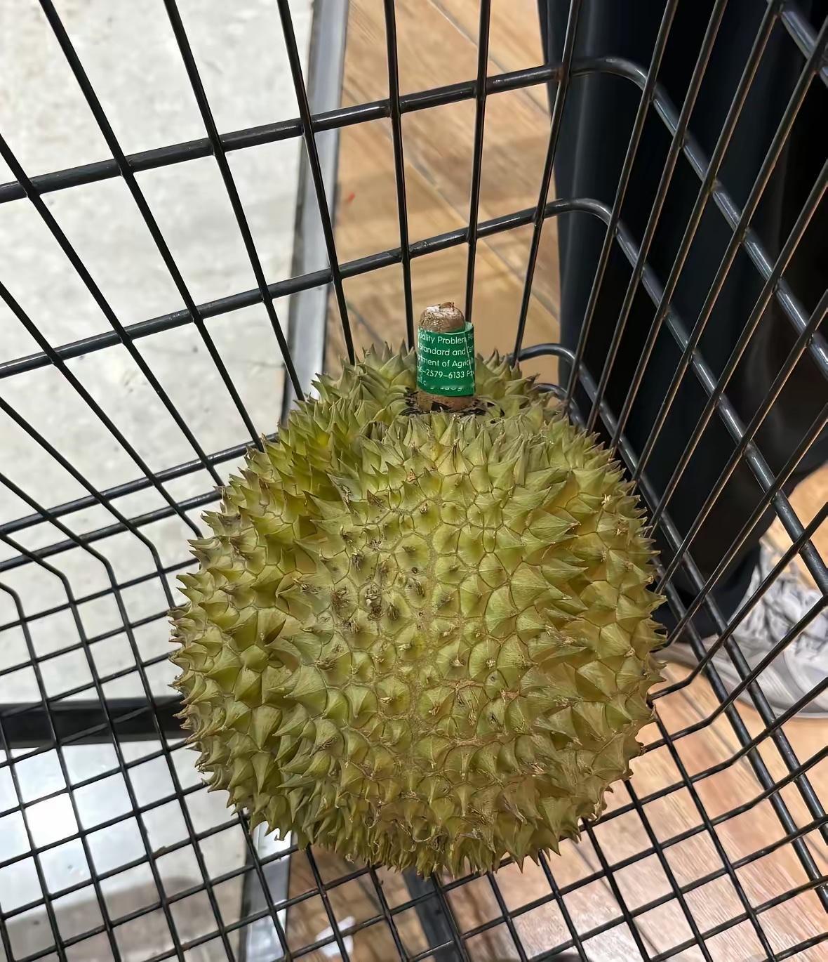 去超市买东西，儿子想吃榴莲，我们看中一个特别饱满的，有五房肉。我拿去称称，并让员