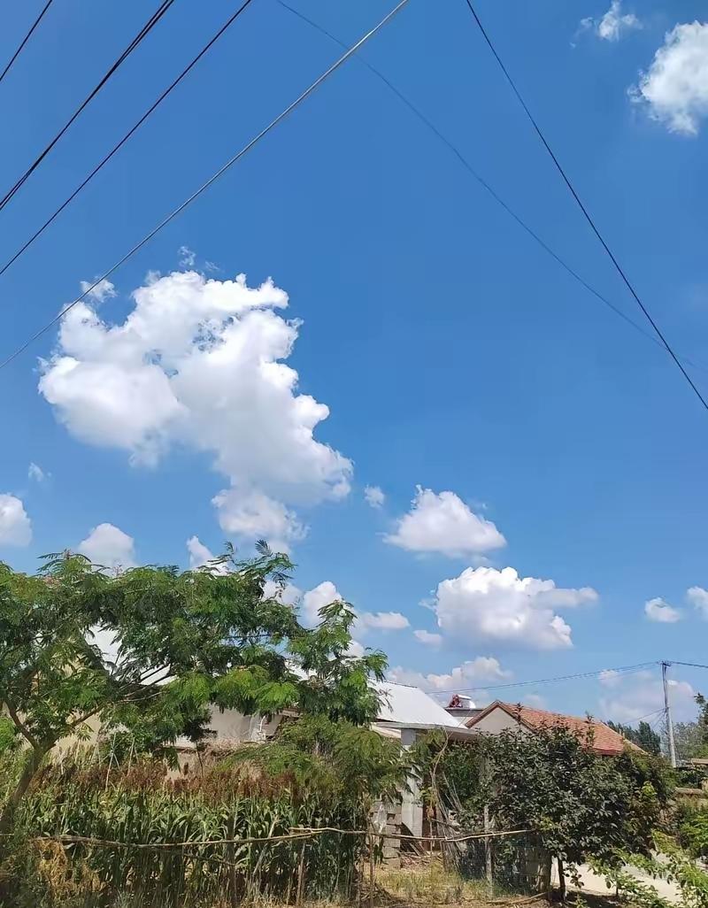一位经济学家说过一句很刻薄的话：“所有人都记住一个道理，只要棉花的价格拼命涨，民