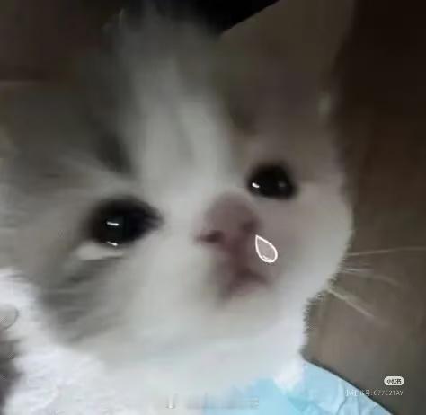 老婆我出现了！和我贴贴🥺🥺​​​