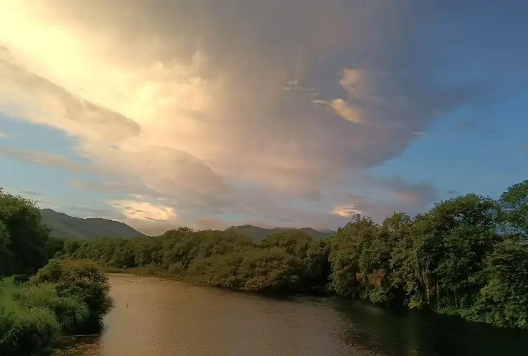 一位妈妈送完老大上学，给老二买完早餐，回家把衣服塞进洗衣机，再钻进车里等洗车，突