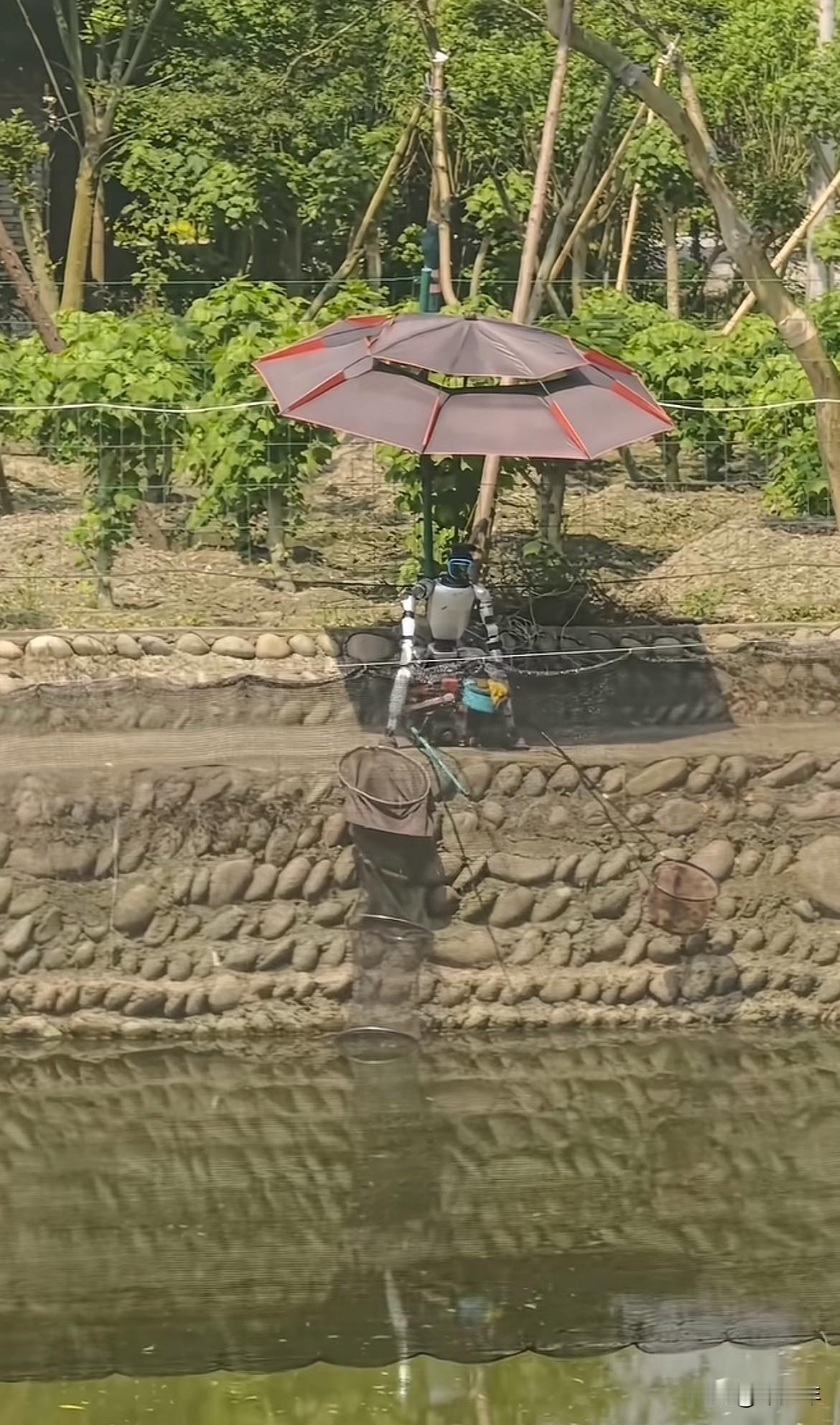 机器人也会钓鱼了，他也有自己的爱好！万一掉水里怎么办？