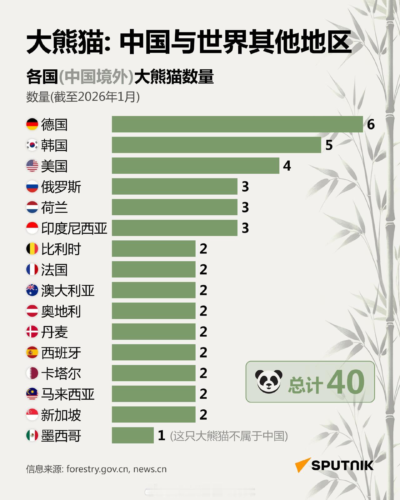 世界上居然有一只不属于中国的大熊猫？？俄新社统计了中国全球熊猫数量，但是在不起