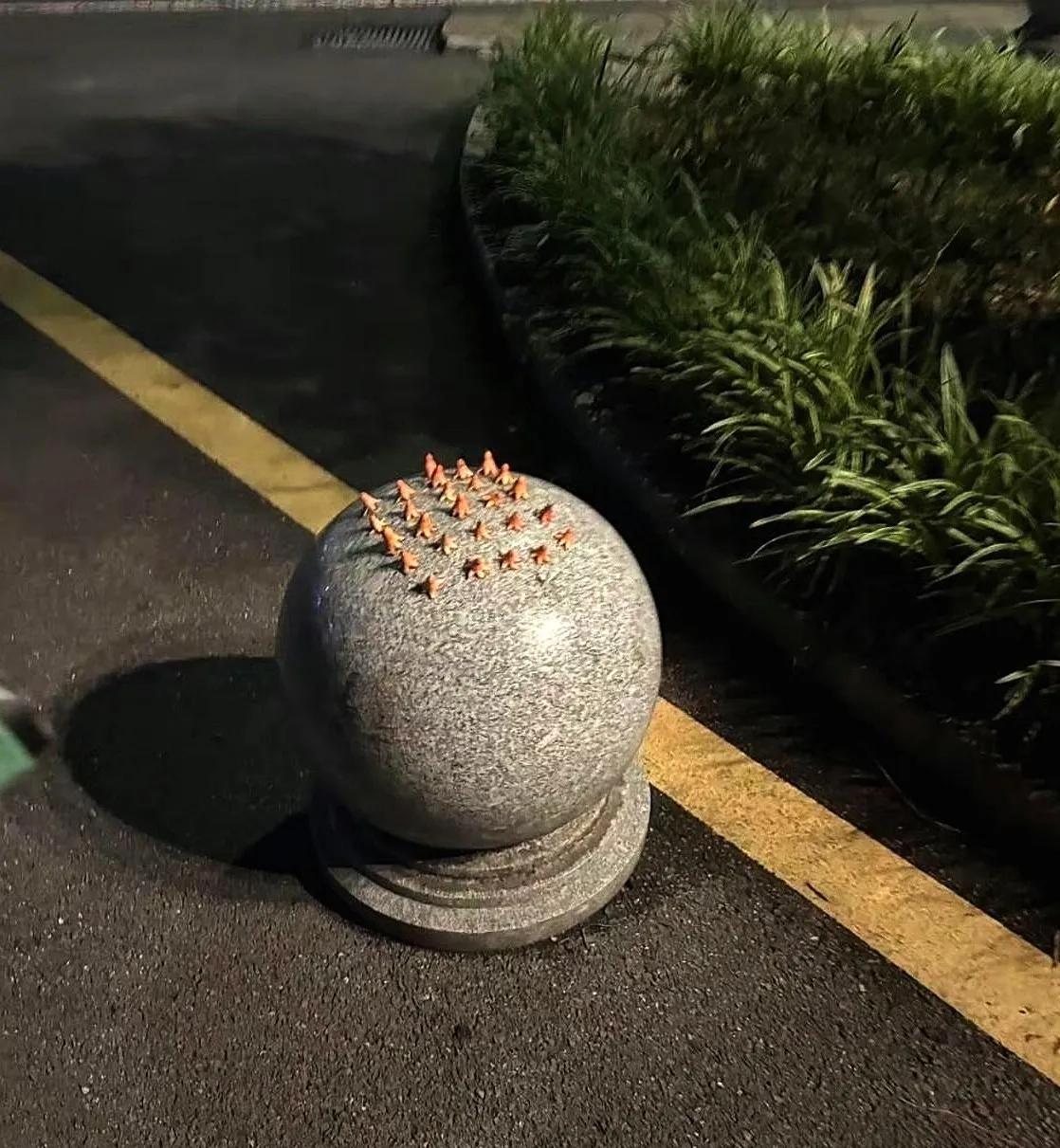 到底是爱心有耐心还是无聊？