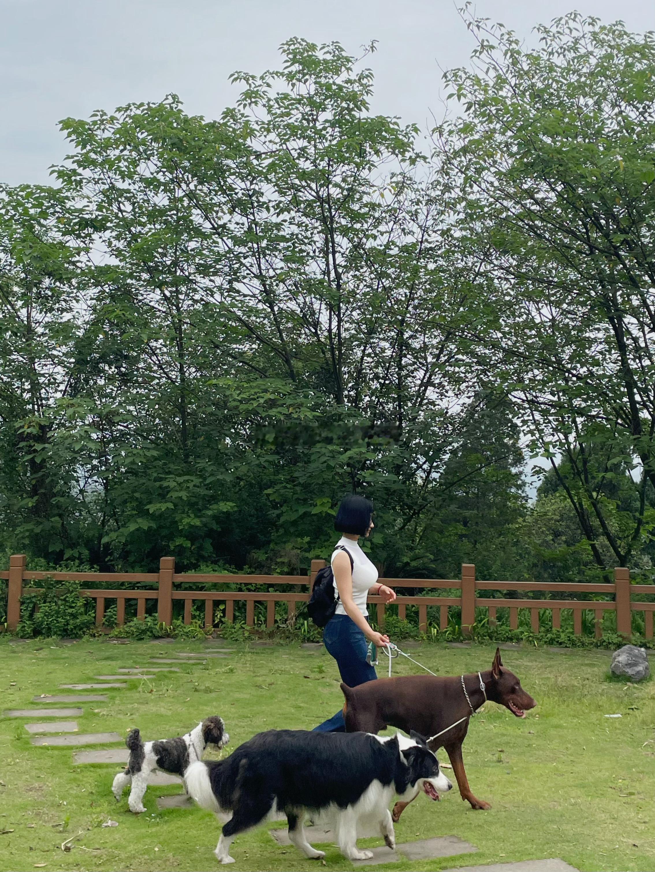 溜达溜达​​​