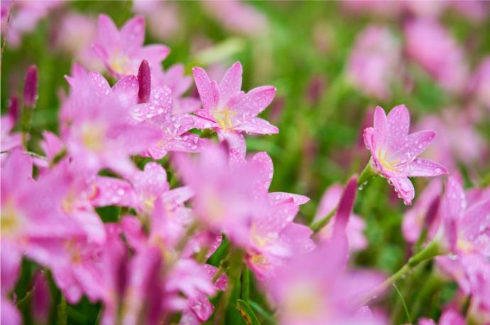 人活多久才最好一、40岁走，短命。二、50岁走，稍早。三、60岁走，有点遗