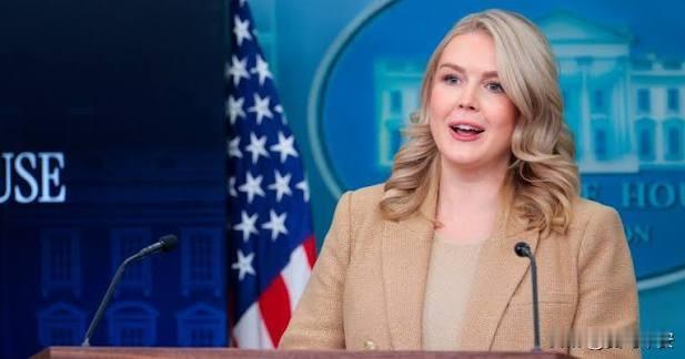 白宫：对格陵兰不排除武力今天凌晨，卡罗琳在例行记者会上谈到格陵兰岛问题时，毫不